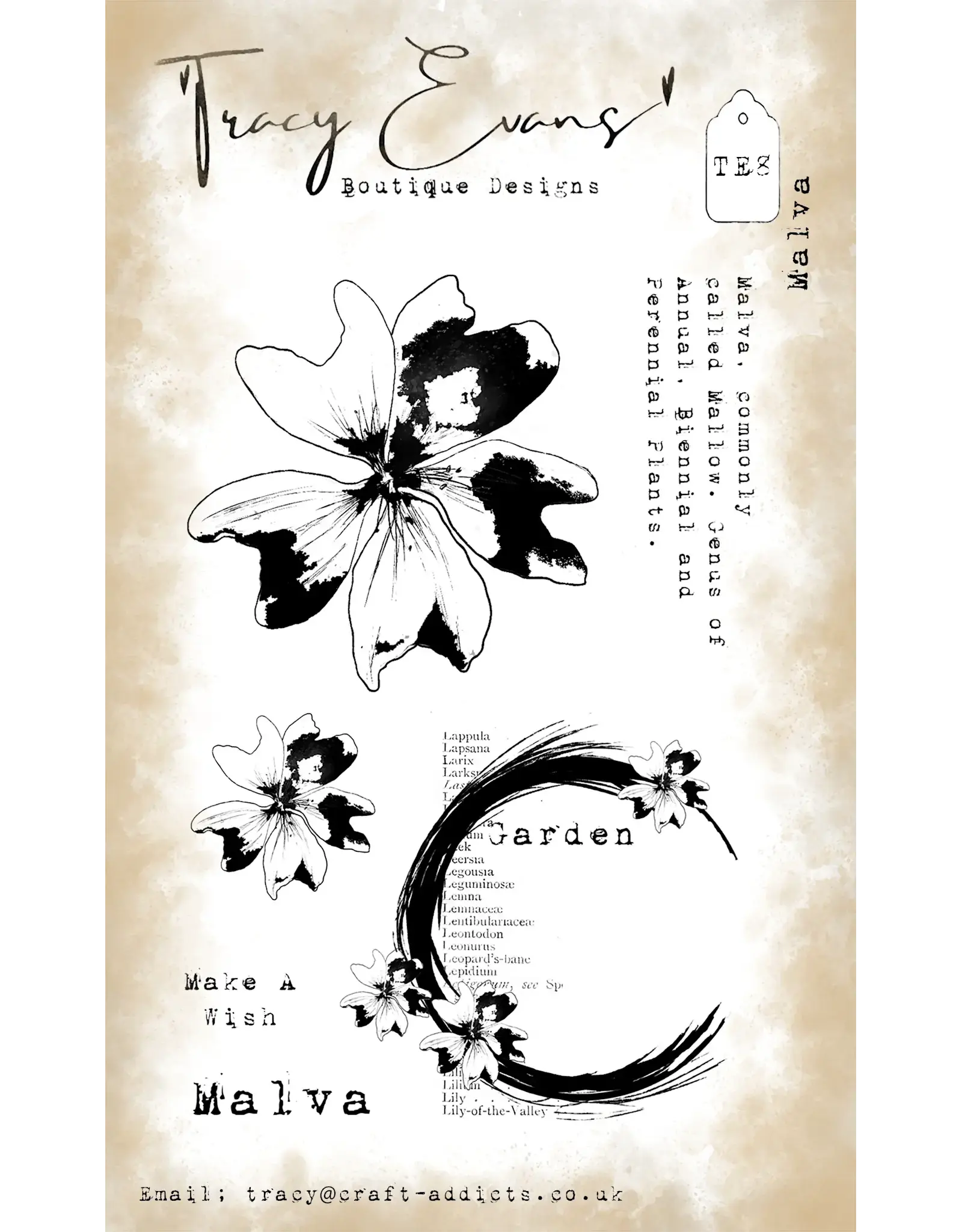 TRACY EVANS TRACY EVANS BOUTIQUE DESIGNS TE8 MALVA A6 CLEAR STAMP SET