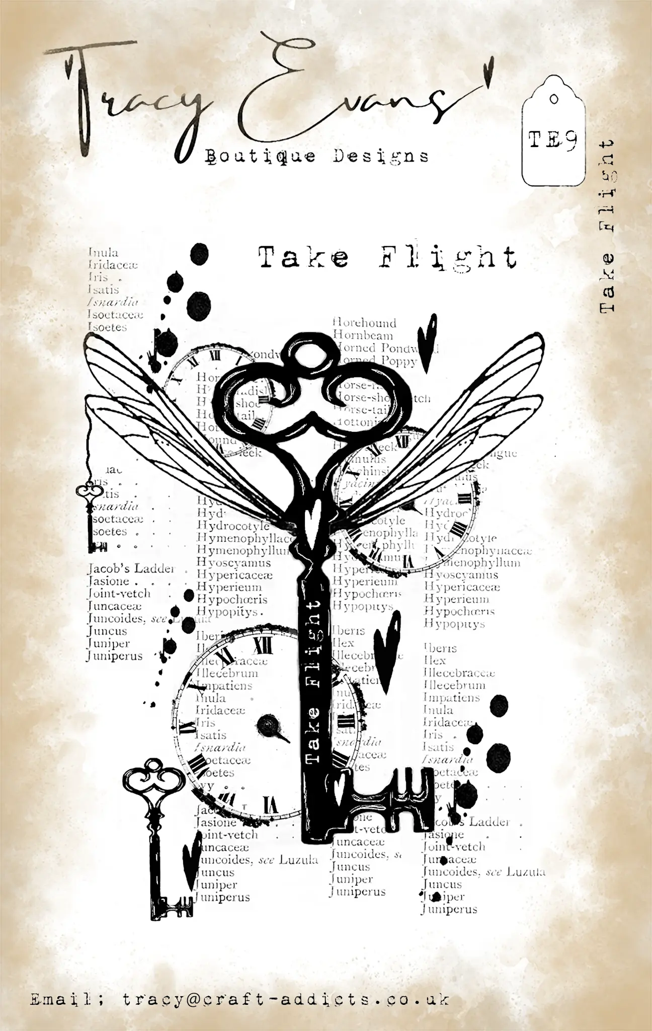TRACY EVANS TRACY EVANS BOUTIQUE DESIGNS TE9 TAKE FLIGHT A7 CLEAR STAMP SET