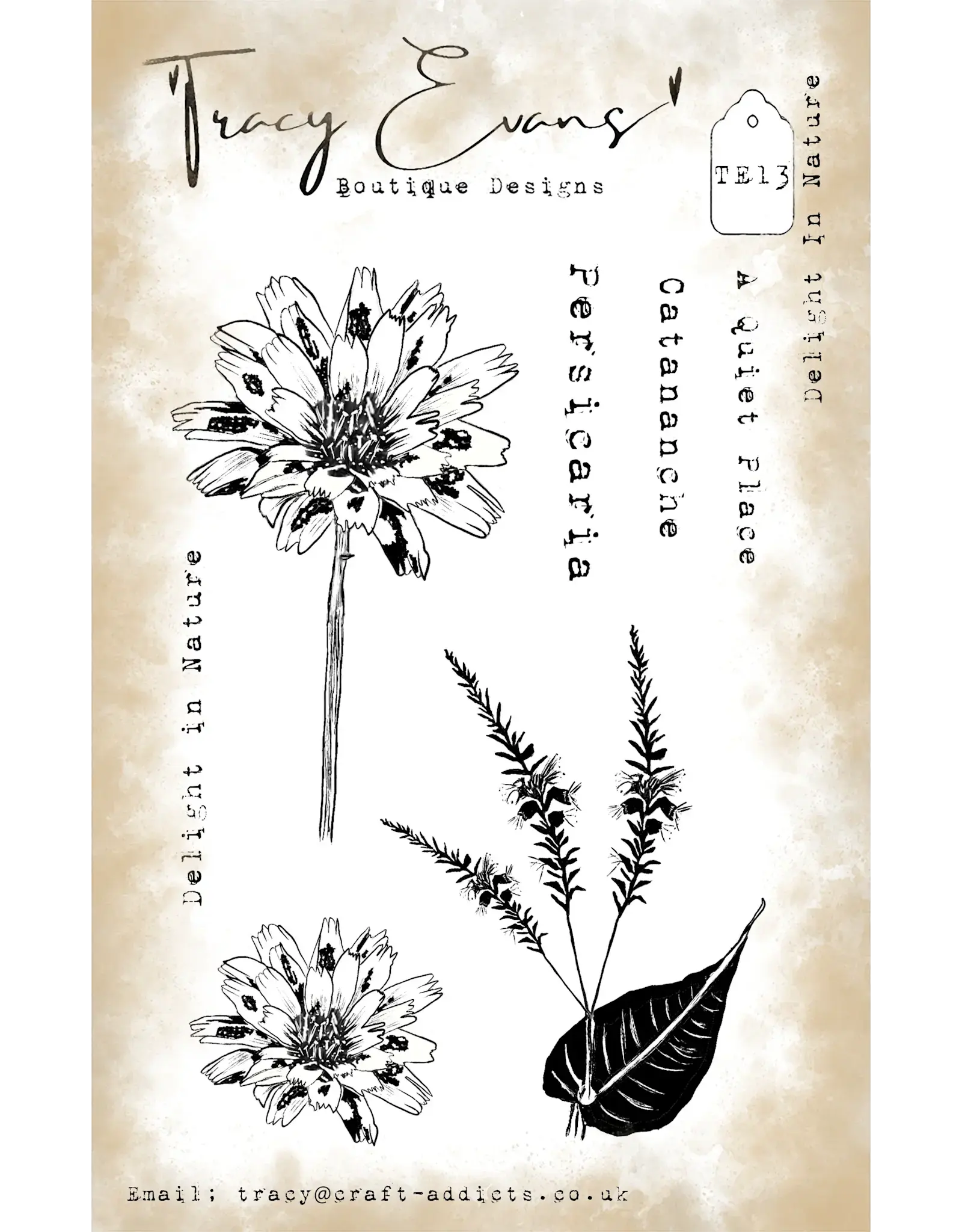 TRACY EVANS TRACY EVANS BOUTIQUE DESIGNS TE13 DELIGHT IN NATURE A6 CLEAR STAMP SET