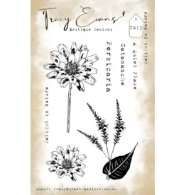 TRACY EVANS TRACY EVANS BOUTIQUE DESIGNS TE13 DELIGHT IN NATURE A6 CLEAR STAMP SET