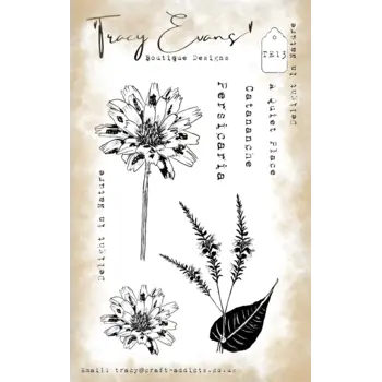 TRACY EVANS TRACY EVANS BOUTIQUE DESIGNS TE13 DELIGHT IN NATURE A6 CLEAR STAMP SET
