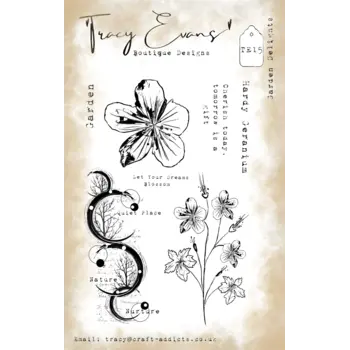 TRACY EVANS TRACY EVANS BOUTIQUE DESIGNS TE15 GARDEN DELIGHTS A6 CLEAR STAMP SET