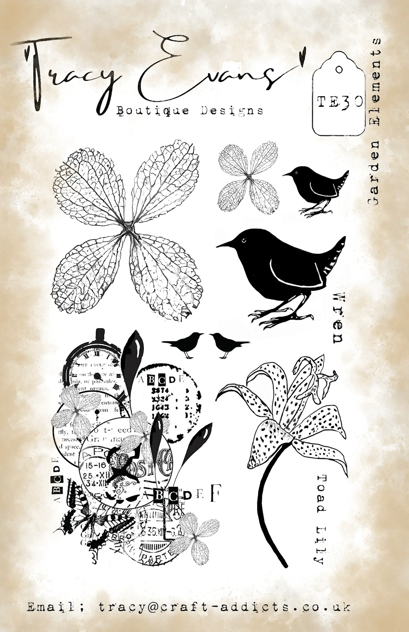 TRACY EVANS TRACY EVANS BOUTIQUE DESIGNS TE30 GARDEN ELEMENTS A5 CLEAR STAMP SET