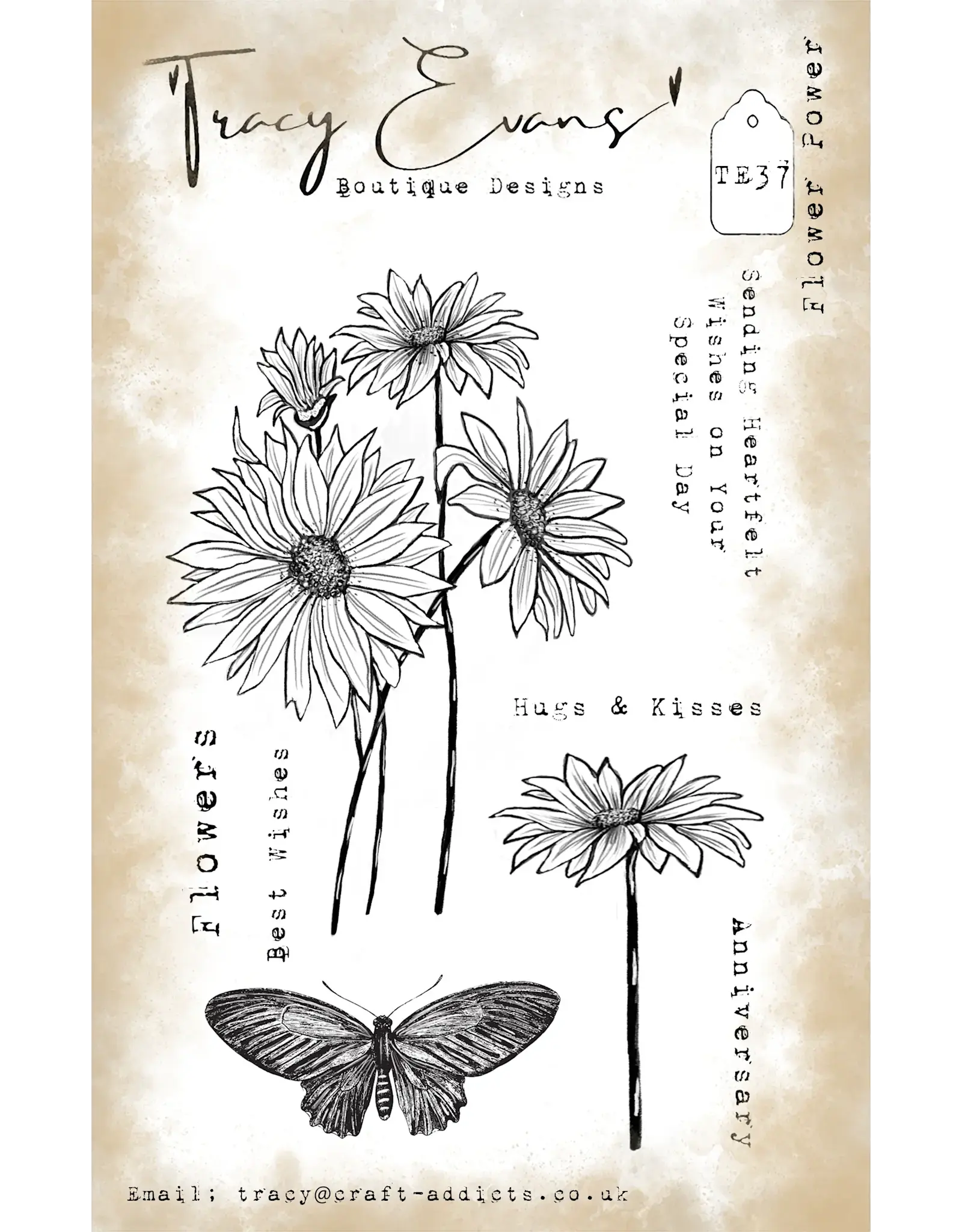 TRACY EVANS TRACY EVANS BOUTIQUE DESIGNS TE37 FLOWER POWER A6 CLEAR STAMP SET