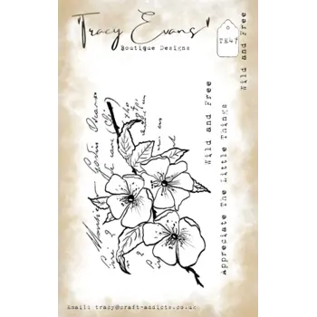 TRACY EVANS TRACY EVANS BOUTIQUE DESIGNS TE47 WILD AND FREE A7 CLEAR STAMP SET