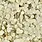 TRINITY STAMPS TRINITY STAMPS GOLD SPARKLE SPOTS CONFETTI EMBELLISHMENTS