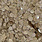TRINITY STAMPS TRINITY STAMPS CHAMPAGNE SPARKLE SPOTS CONFETTI EMBELLISHMENTS