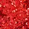 TRINITY STAMPS TRINITY STAMPS RUBY RED SPARKLE SPOTS CONFETTI EMBELLISHMENTS