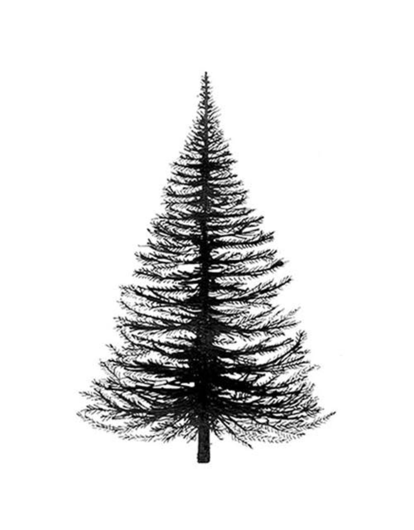 LAVINIA STAMPS LAVINIA STAMPS FAIRY FIR TREE ACRYLIC STAMP