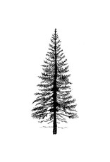 LAVINIA STAMPS LAVINIA STAMPS FAIRY FIR TREE 1 CLEAR STAMP