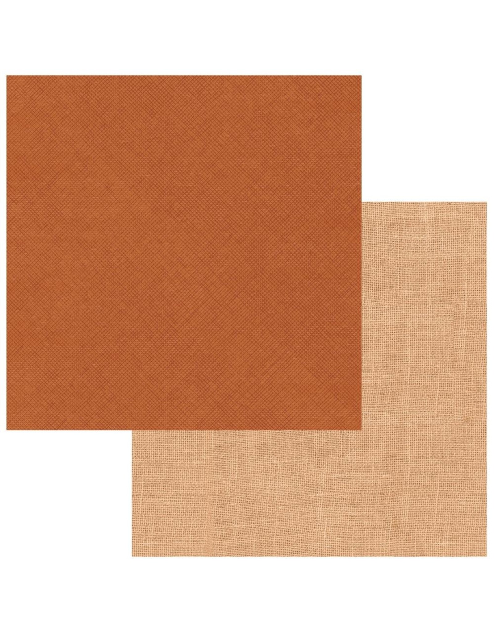 49 AND MARKET 49 AND MARKET VINTAGE ORCHARD SOLIDS 2 12x12 CARDSTOCK