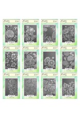 LISA HORTON CRAFTS LISA HORTON CRAFTS A YEAR IN BLOOM 2026 LIMITED EDITION A6 3D EMBOSSING FOLDER SET 12/PK