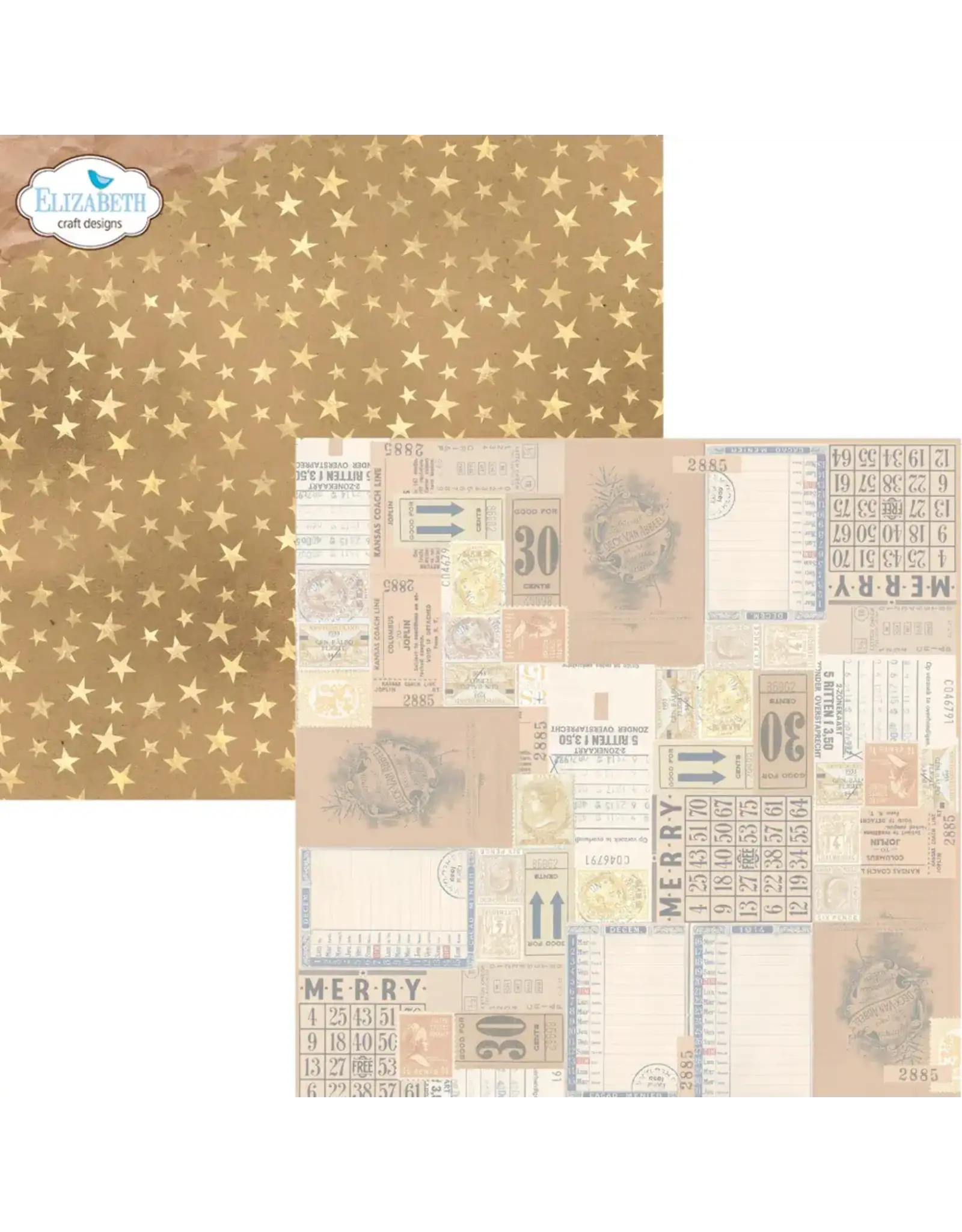 ELIZABETH CRAFT DESIGNS ELIZABETH CRAFT DESIGNS WINTER WANDERLUST 12x12 PATTERENED PAPER PACK