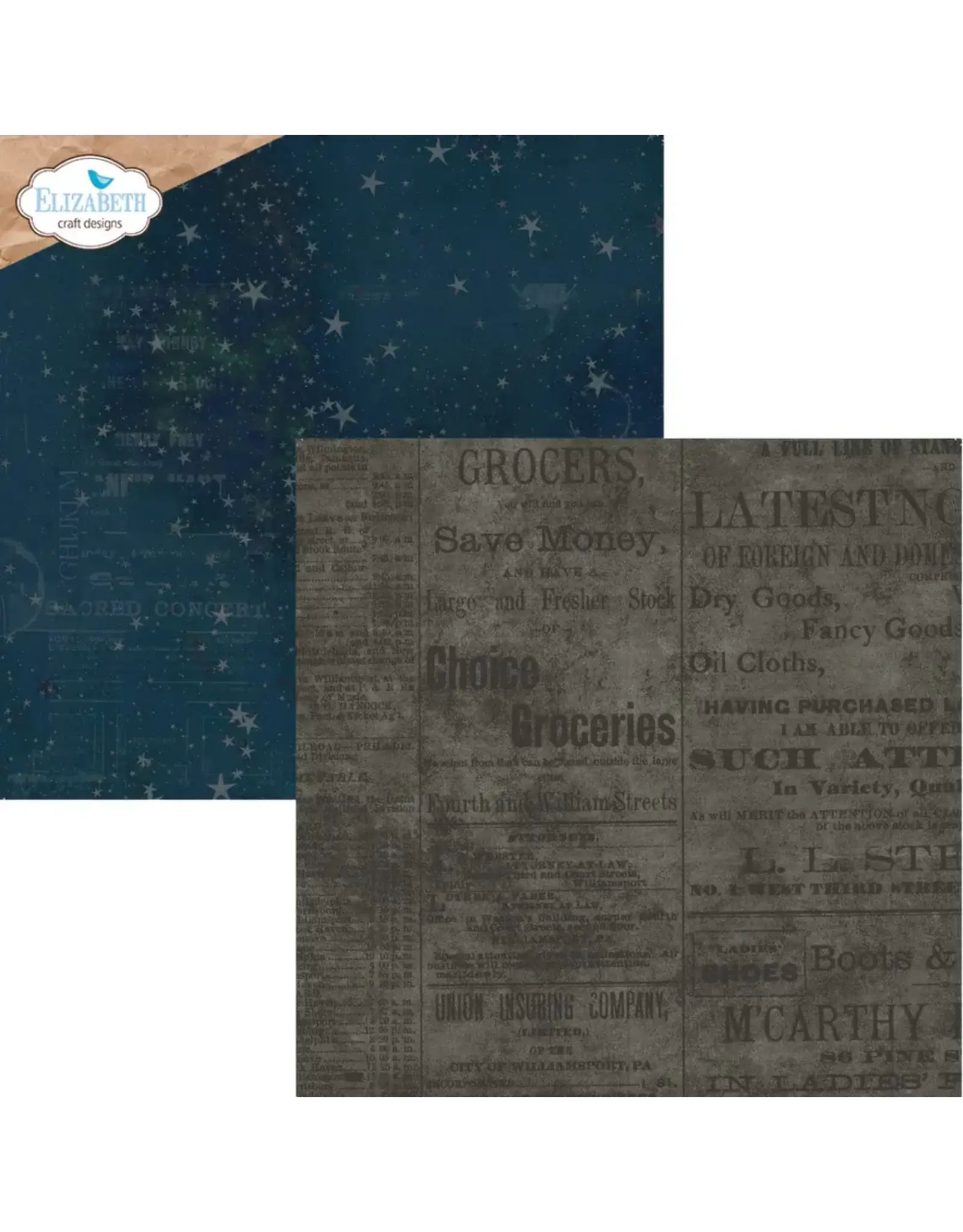 ELIZABETH CRAFT DESIGNS ELIZABETH CRAFT DESIGNS WINTER WANDERLUST 12x12 PATTERENED PAPER PACK