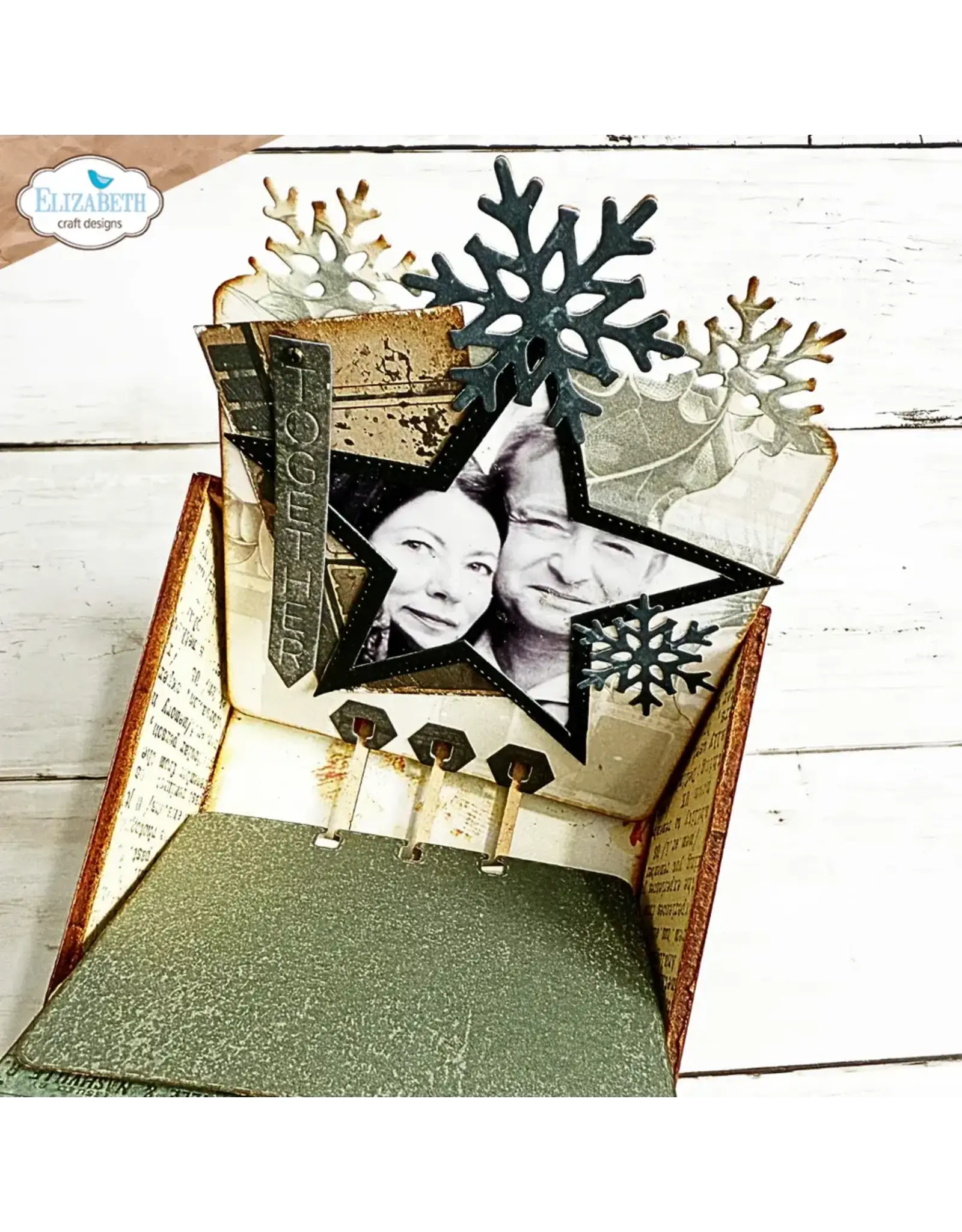 ELIZABETH CRAFT DESIGNS ELIZABETH CRAFT DESIGNS ESTHER GLAS PLANNER ESSENTIALS WINTERCARDS CARDLAB DIE SET
