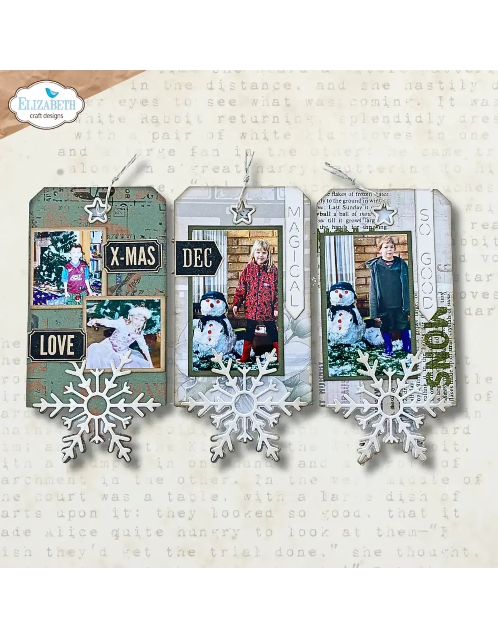 ELIZABETH CRAFT DESIGNS ELIZABETH CRAFT DESIGNS ESTHER GLAS PLANNER ESSENTIALS WINTER TAGS DIE SET