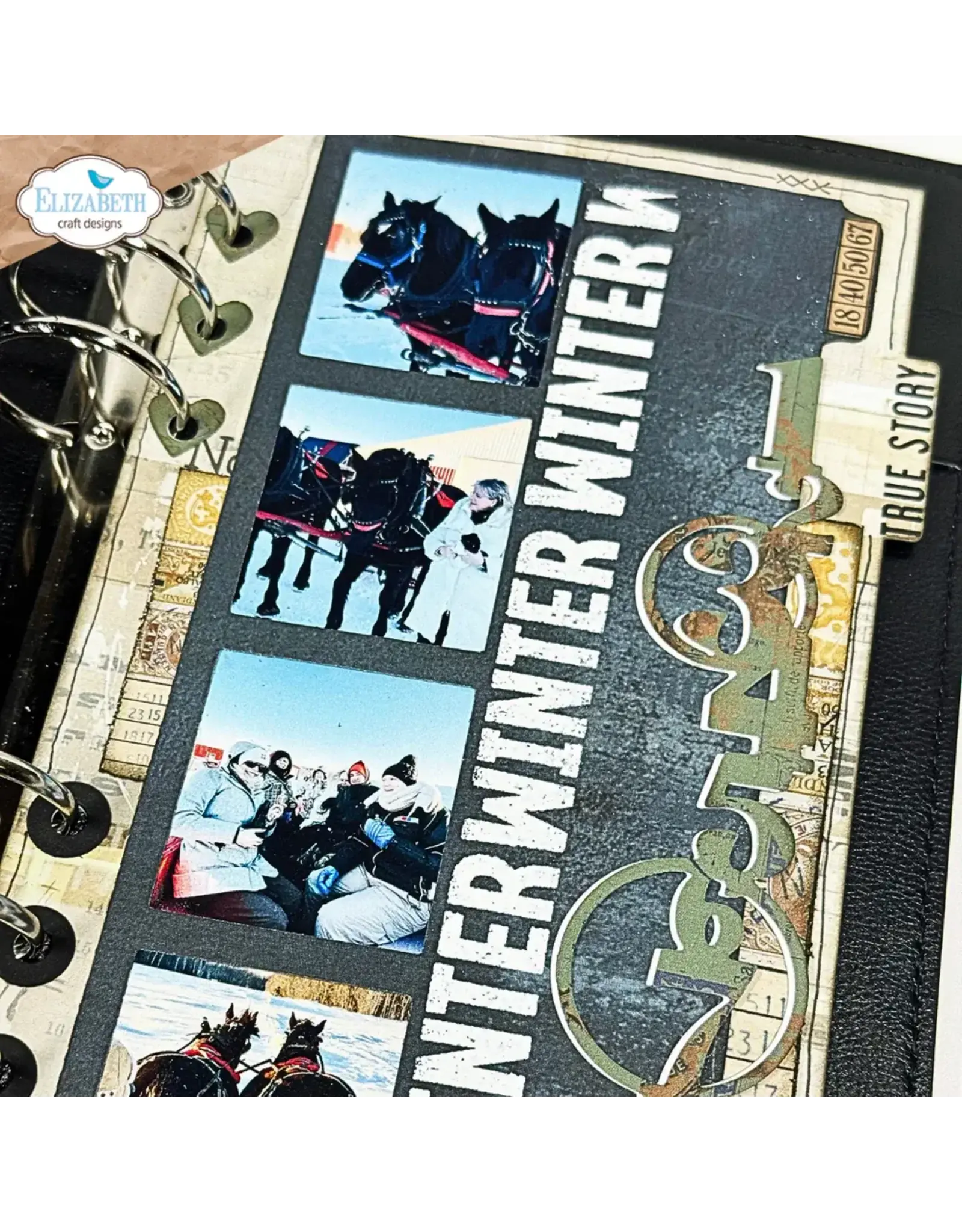 ELIZABETH CRAFT DESIGNS ELIZABETH CRAFT DESIGNS ESTHER GLAS PLANNER ESSENTIALS WINDOW OVERLAY 2 DIE SET