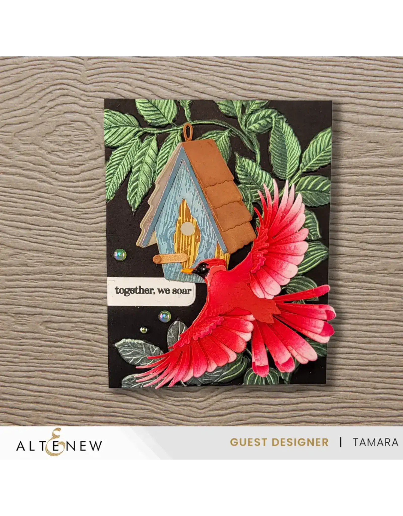 ALTENEW ALTENEW CREATIVE CUTS: FEATHERED BEAUTY LAYERING DIE SET