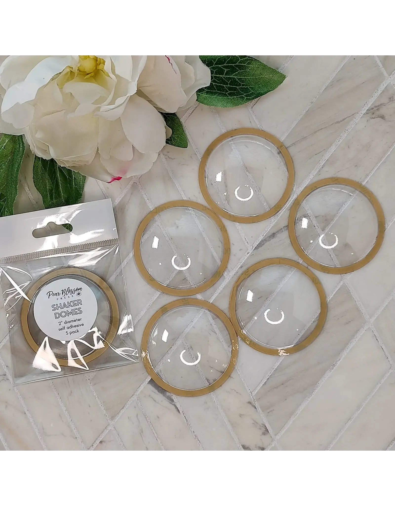 PEAR BLOSSOM PRESS PEAR BLOSSOM PRESS SHAKER DOMES 5/PK