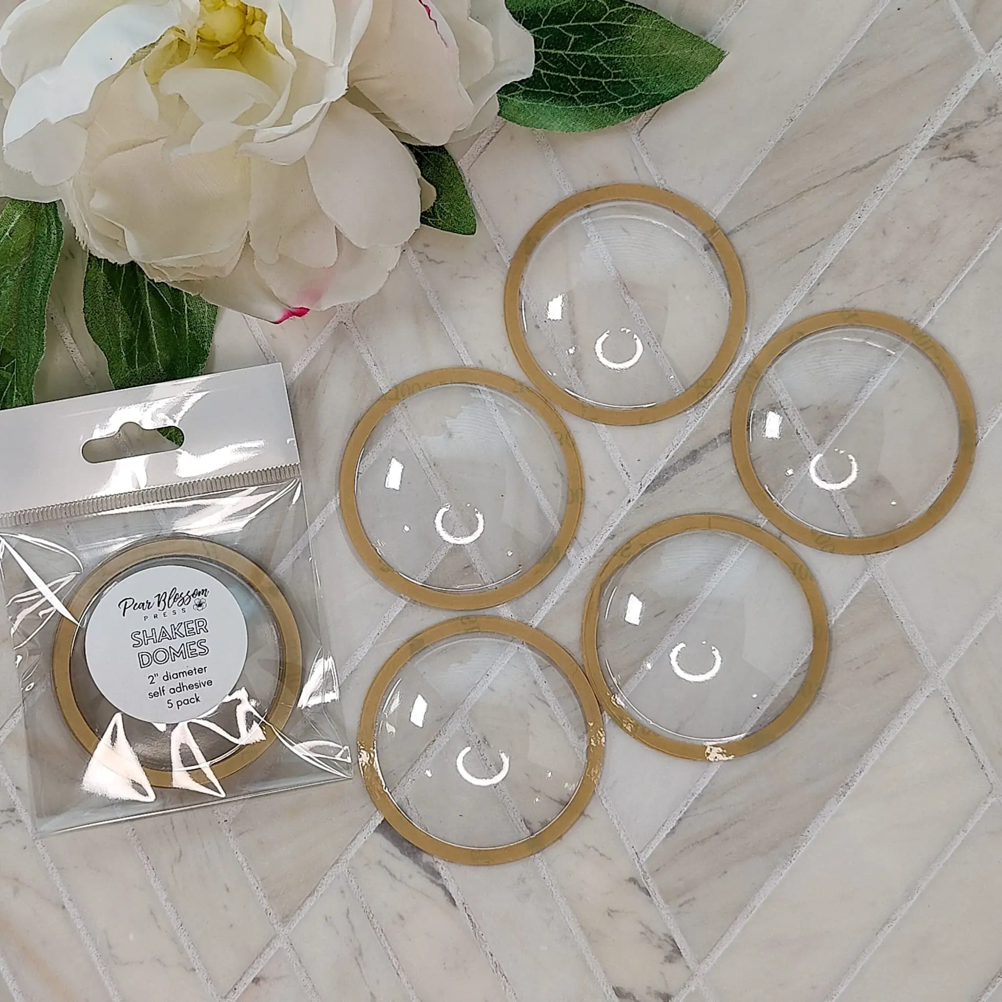 PEAR BLOSSOM PRESS PEAR BLOSSOM PRESS SHAKER DOMES 5/PK