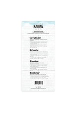 LES ATELIERS DE KARINE LES ATELIERS DE KARINE SUR LE FIL DÉFINITIONS PASSION CLEAR STAMP SET