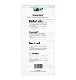 LES ATELIERS DE KARINE LES ATELIERS DE KARINE CARTE POSTALE DÉFINITIONS AVENTURE CLEAR STAMP SET