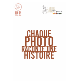 HA-PI LITTLE FOX HA-PI LITTLE FOX CHAQUE PHOTO DIE SET