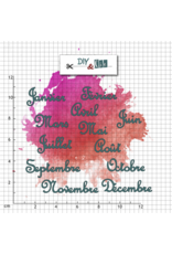 DIY & CIE DIY & CIE DUO MOIS DE L'ANNÉE V2 STAMP AND DIE SET