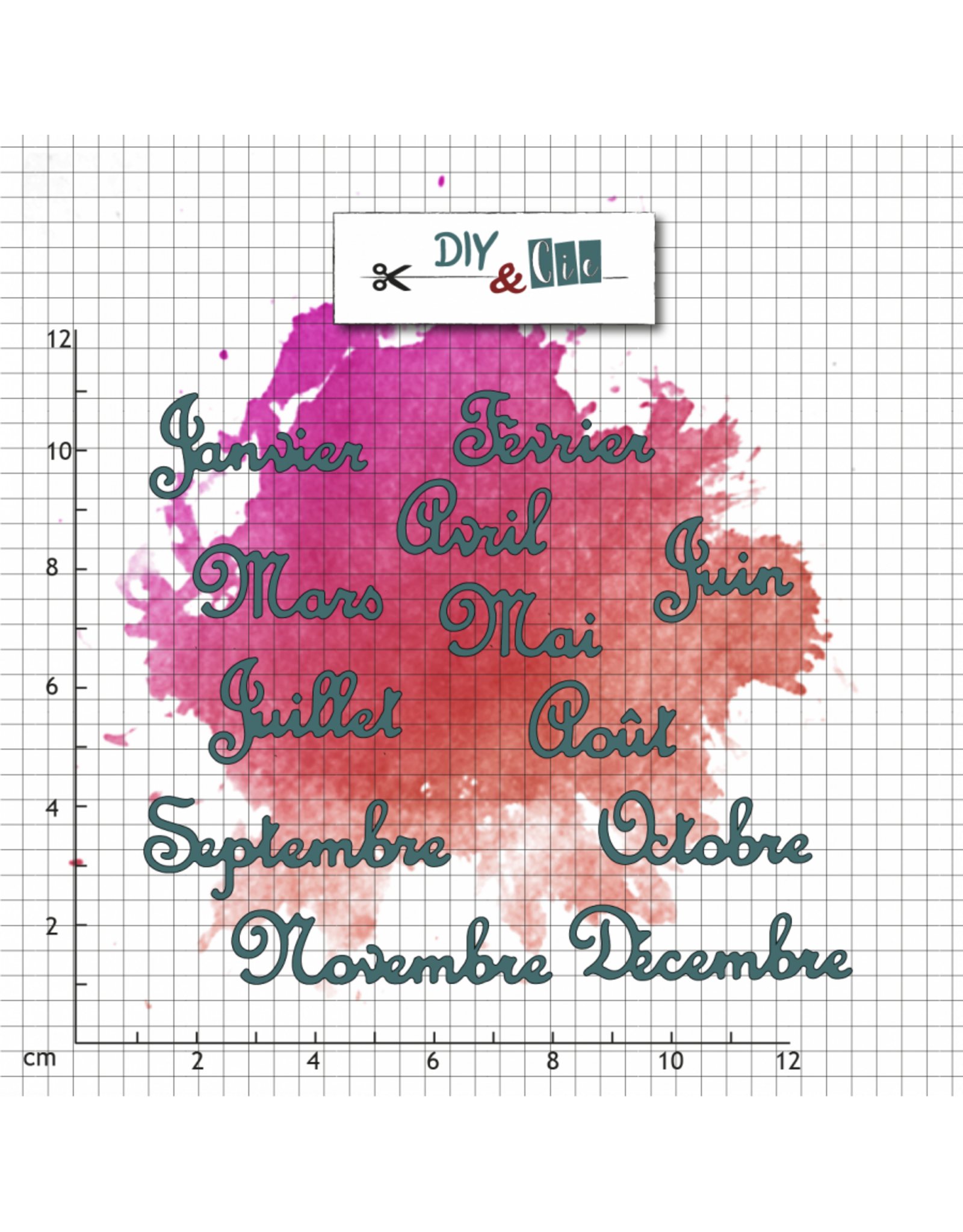 DIY & CIE DIY & CIE DUO MOIS DE L'ANNÉE V2 STAMP AND DIE SET