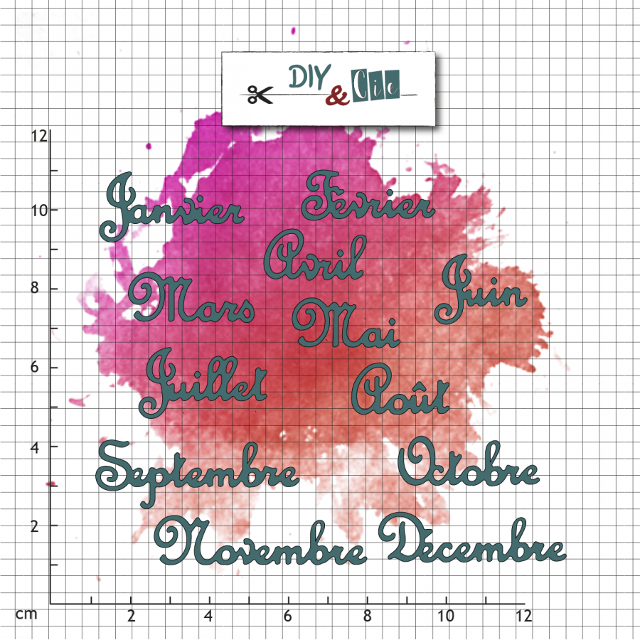 DIY & CIE DIY & CIE DUO MOIS DE L'ANNÉE V2 STAMP AND DIE SET