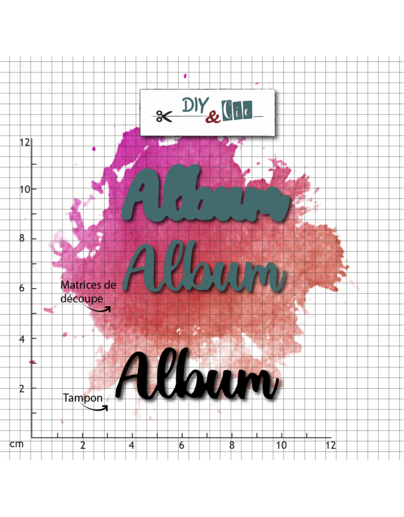 DIY & CIE DIY & CIE DUO ALBUM STAMP AND DIE SET