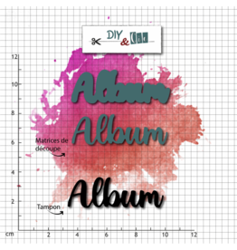 DIY & CIE DIY & CIE DUO ALBUM STAMP AND DIE SET