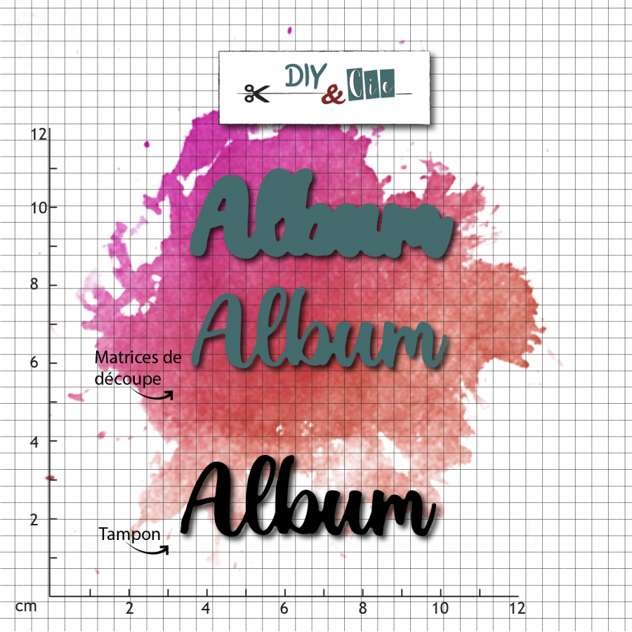 DIY & CIE DIY & CIE DUO ALBUM STAMP AND DIE SET