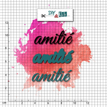 DIY & CIE DIY & CIE AMITIÉ STAMP AND DIE SET