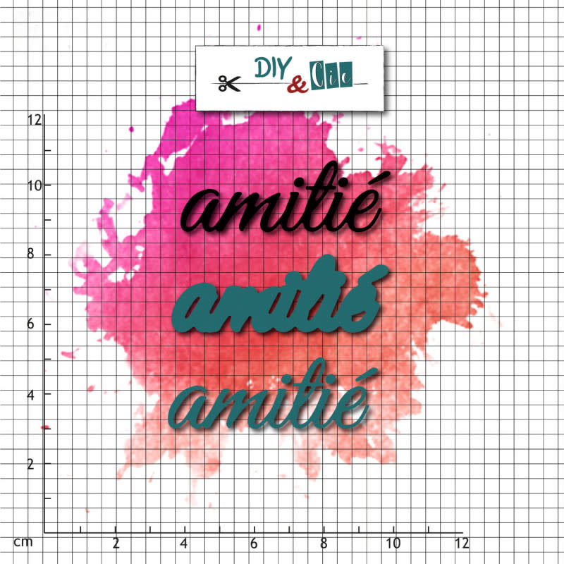 DIY & CIE DIY & CIE AMITIÉ STAMP AND DIE SET