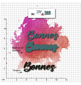 DIY & CIE DIY & CIE DUO BONNES STAMP AND DIE SET
