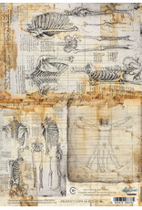 ALCHEMY OF ART ALCHEMY OF ART BEHIND CLOSED DOORS 03 A4 RICE PAPER