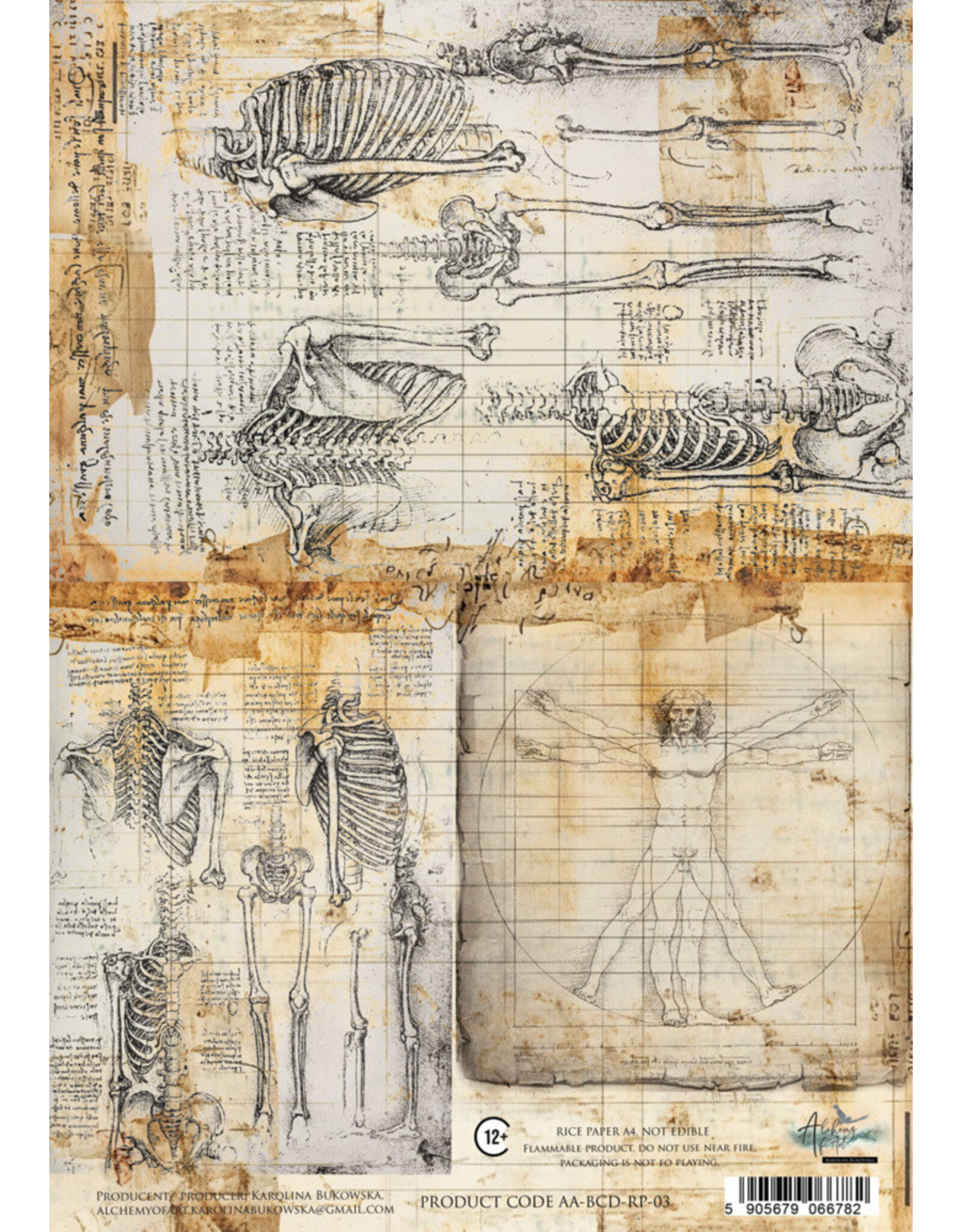 ALCHEMY OF ART ALCHEMY OF ART BEHIND CLOSED DOORS 03 A4 RICE PAPER