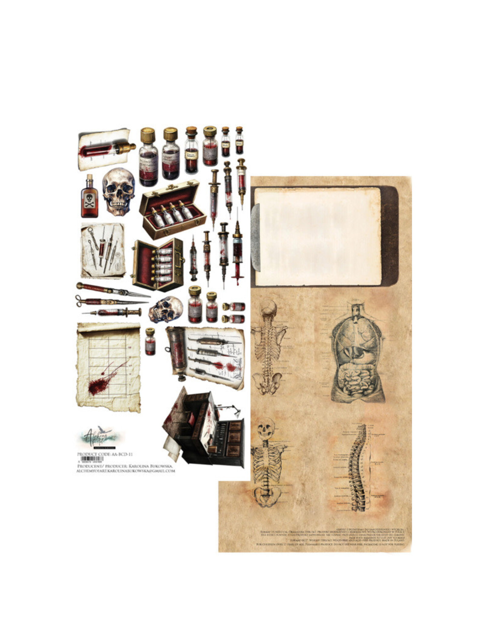 ALCHEMY OF ART ALCHEMY OF ART EXTRAS PAPER BEHIND CLOSED DOORS-MEDICAL TOOLS DIE-CUTS