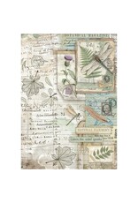 STAMPERIA STAMPERIA HERBARIUM SILVAE ASSORTED A4 RICE PAPER 6/PK