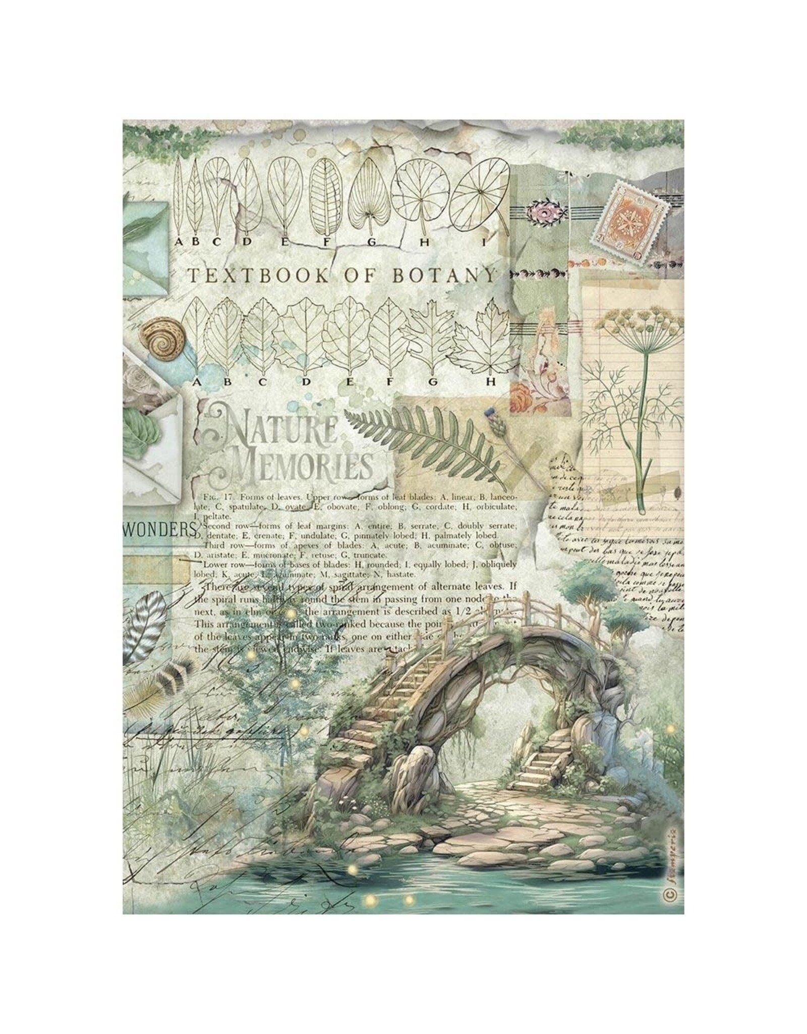 STAMPERIA STAMPERIA HERBARIUM SILVAE ASSORTED A4 RICE PAPER 6/PK