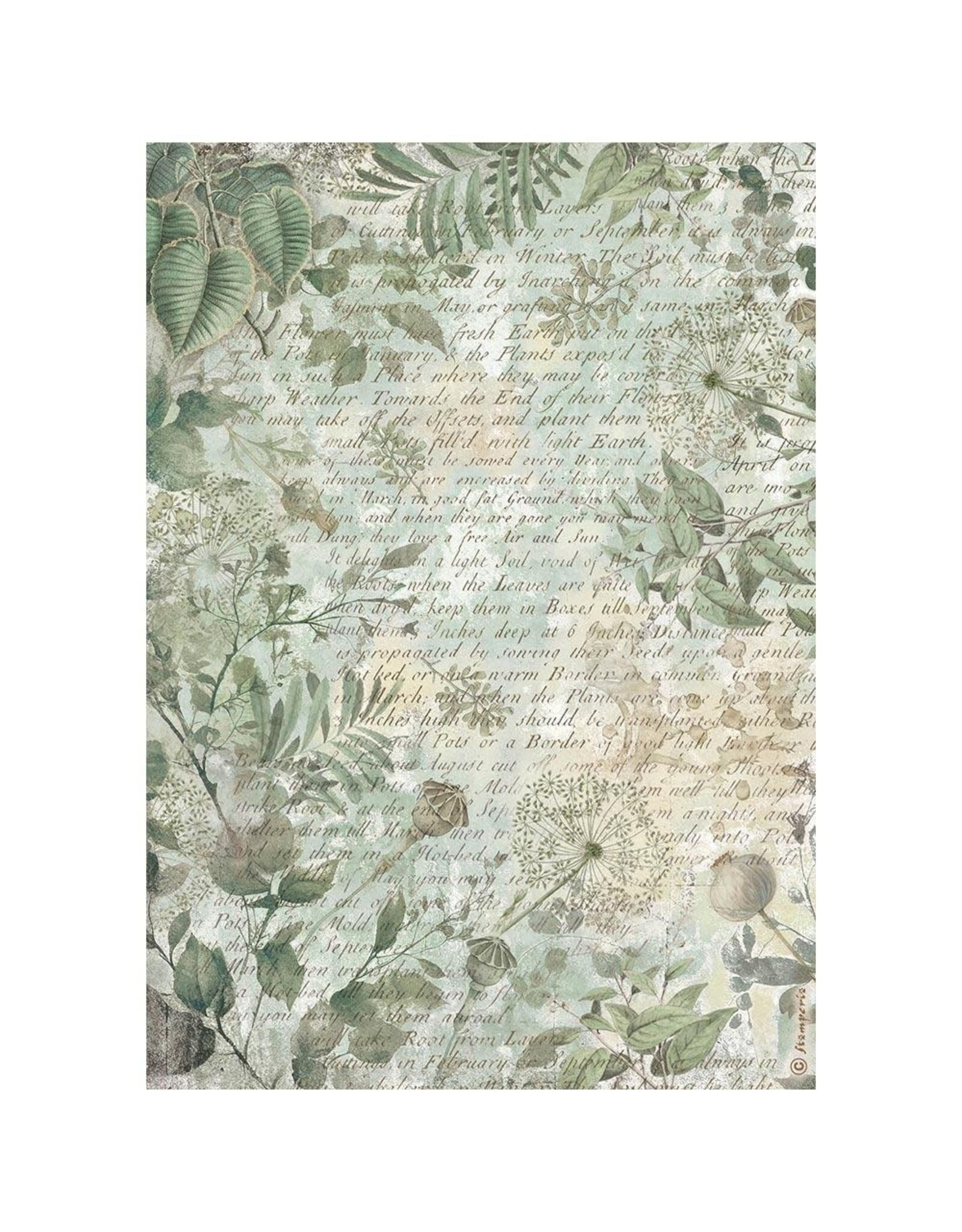 STAMPERIA STAMPERIA QUIET DAYS ASSORTED A4 RICE PAPER 6/PK