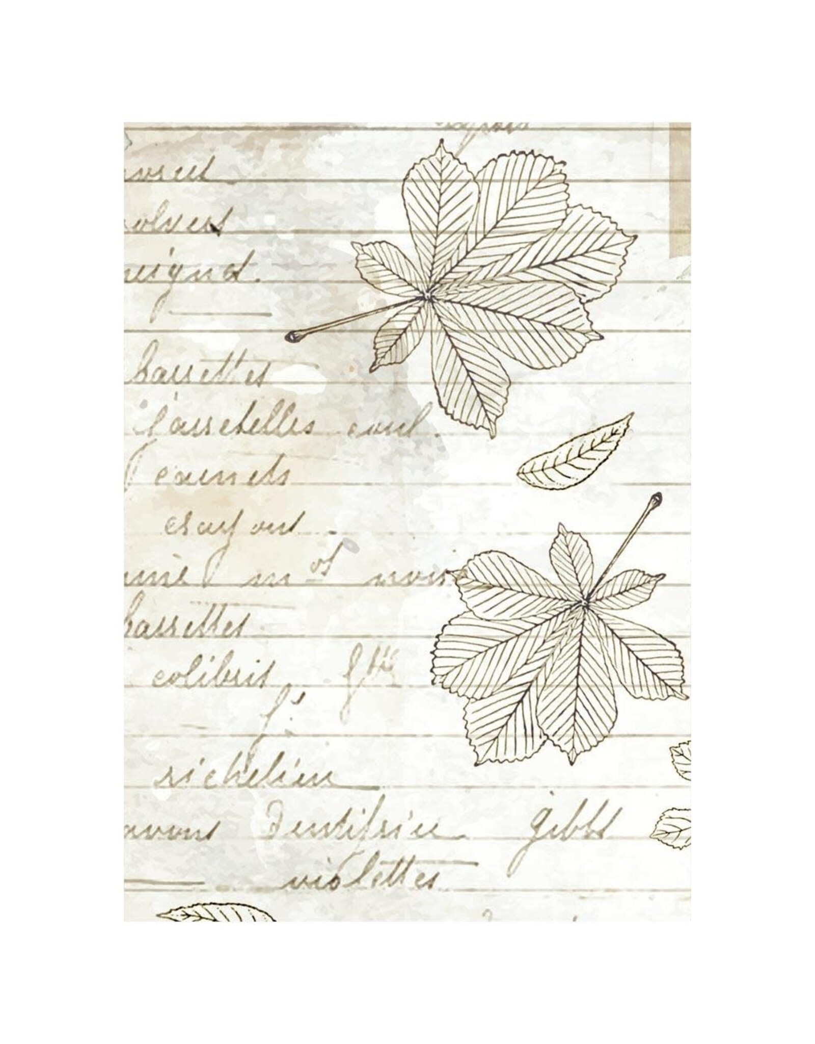 STAMPERIA STAMPERIA HERBARIUM SILVAE ASSORTED A6 RICE PAPER DECOUPAGE BACKGROUNDS 10.5X14.8CM 8/PK