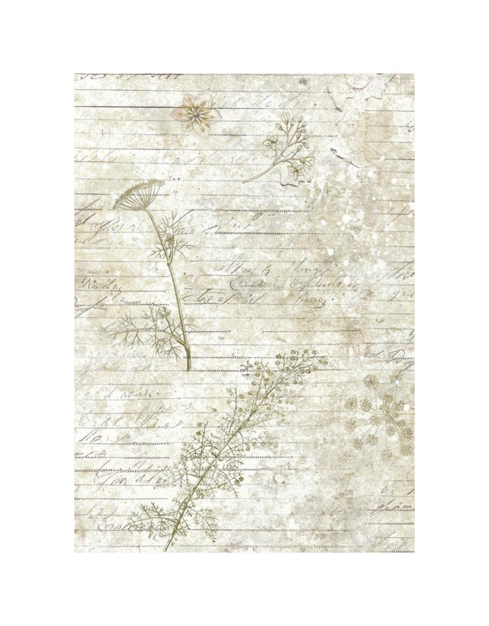 STAMPERIA STAMPERIA HERBARIUM SILVAE ASSORTED A6 RICE PAPER DECOUPAGE BACKGROUNDS 10.5X14.8CM 8/PK