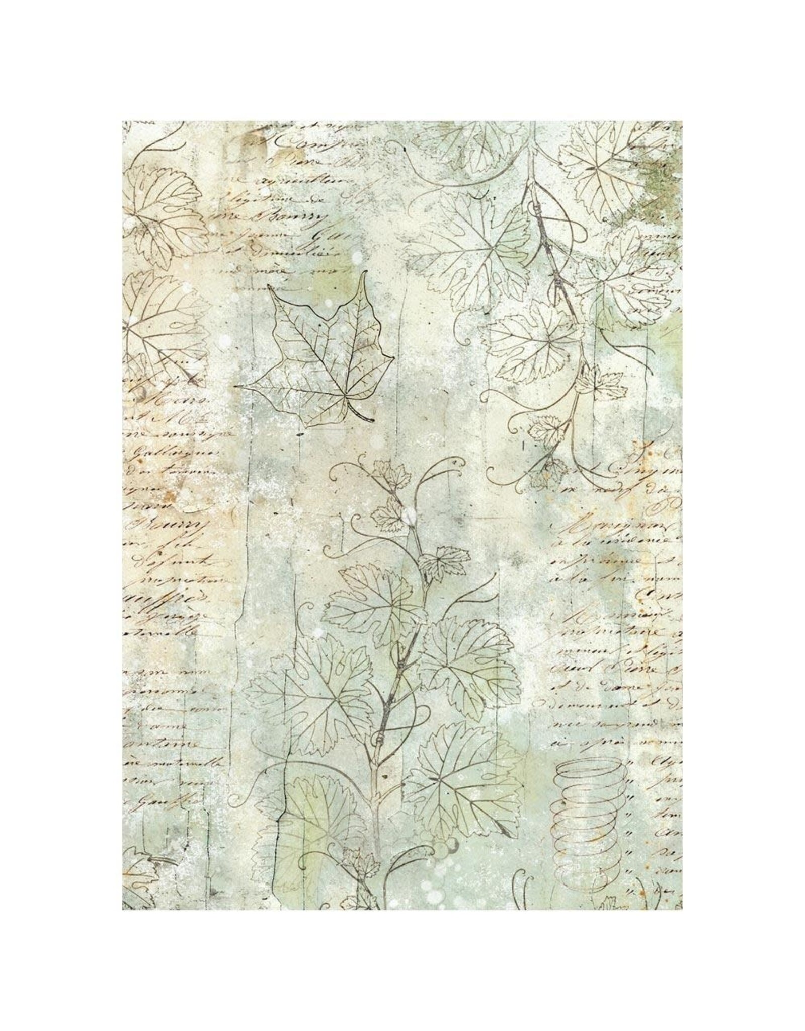 STAMPERIA STAMPERIA HERBARIUM SILVAE ASSORTED A6 RICE PAPER DECOUPAGE BACKGROUNDS 10.5X14.8CM 8/PK