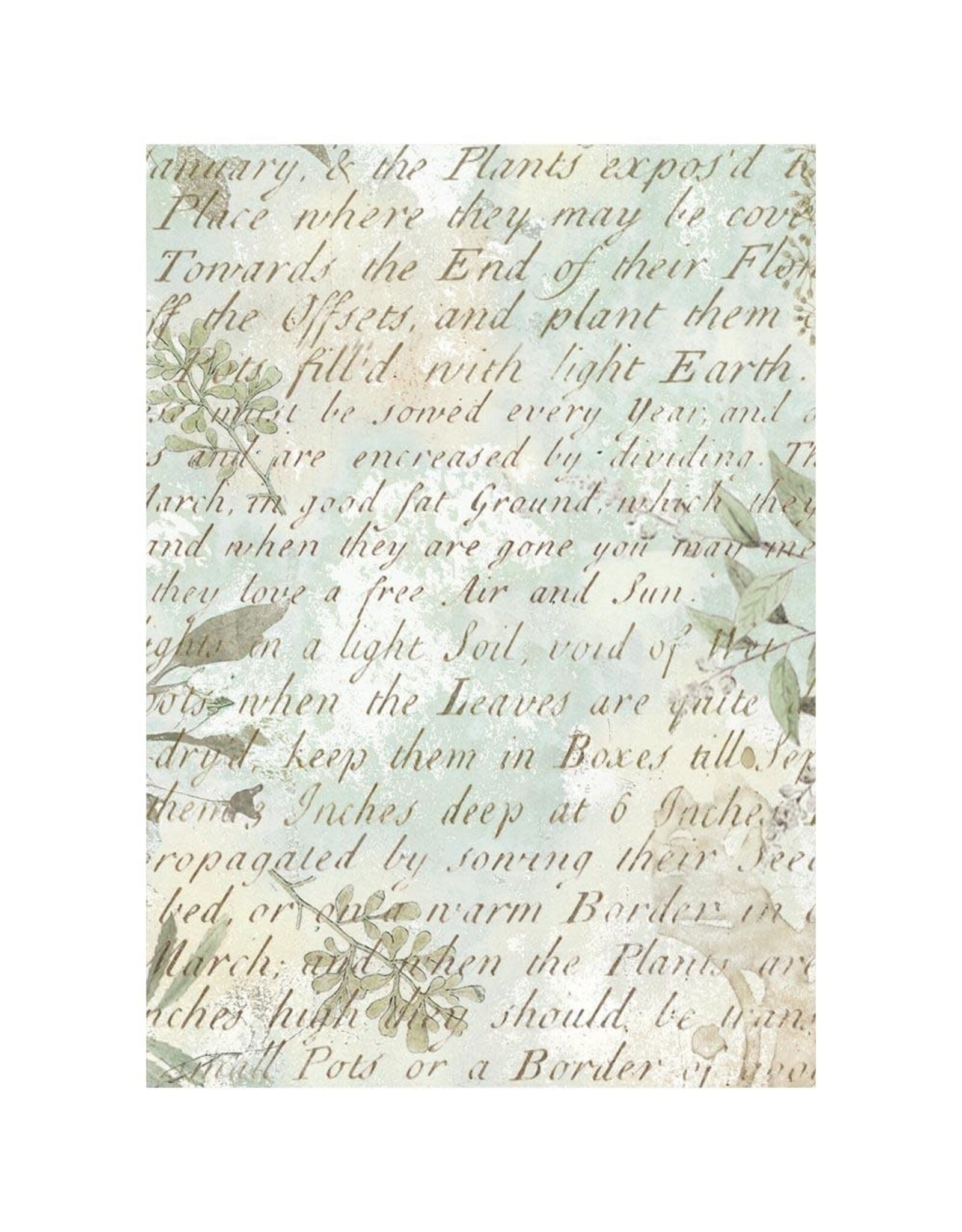 STAMPERIA STAMPERIA HERBARIUM SILVAE ASSORTED A6 RICE PAPER DECOUPAGE BACKGROUNDS 10.5X14.8CM 8/PK