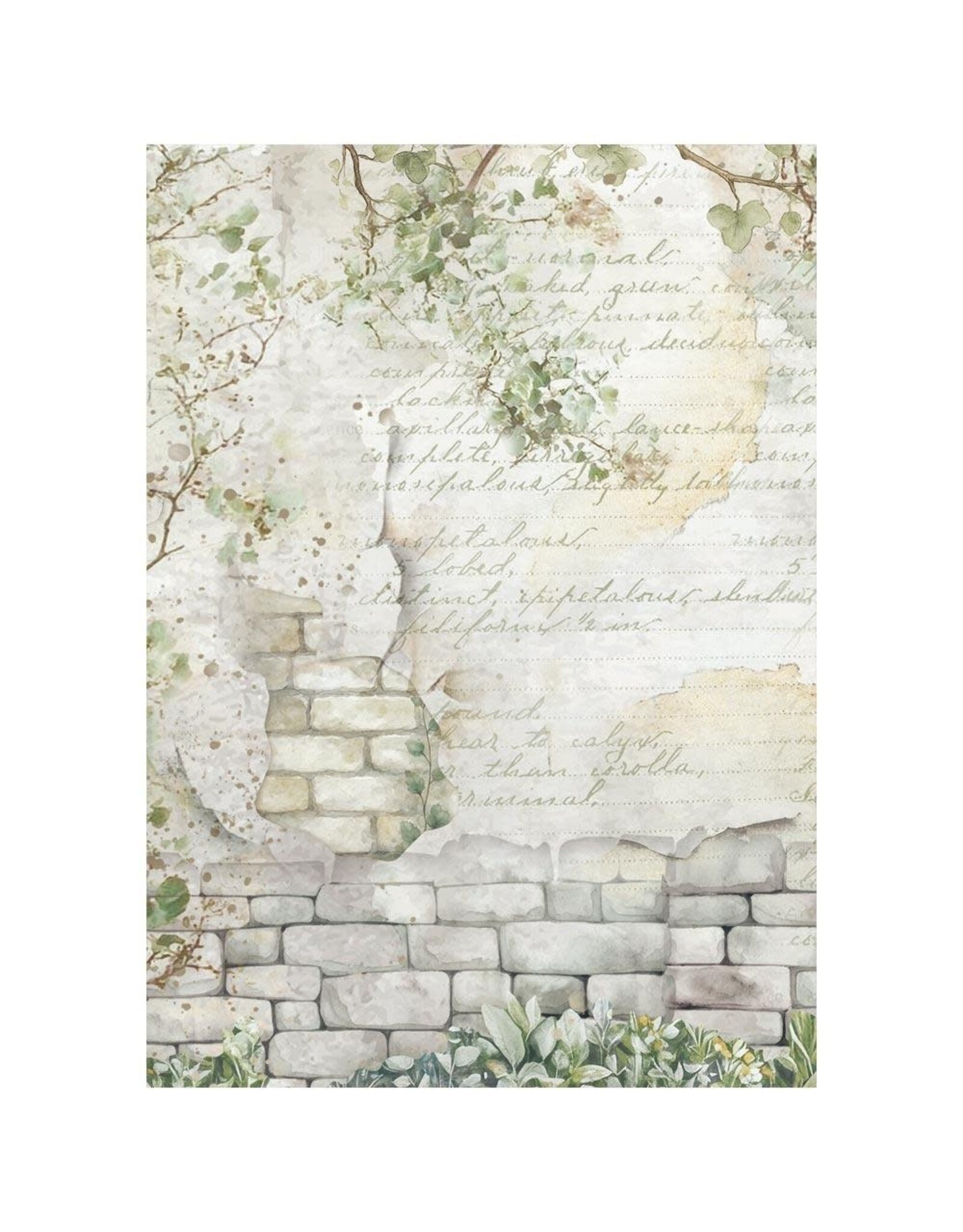STAMPERIA STAMPERIA HERBARIUM SILVAE ASSORTED A6 RICE PAPER DECOUPAGE BACKGROUNDS 10.5X14.8CM 8/PK