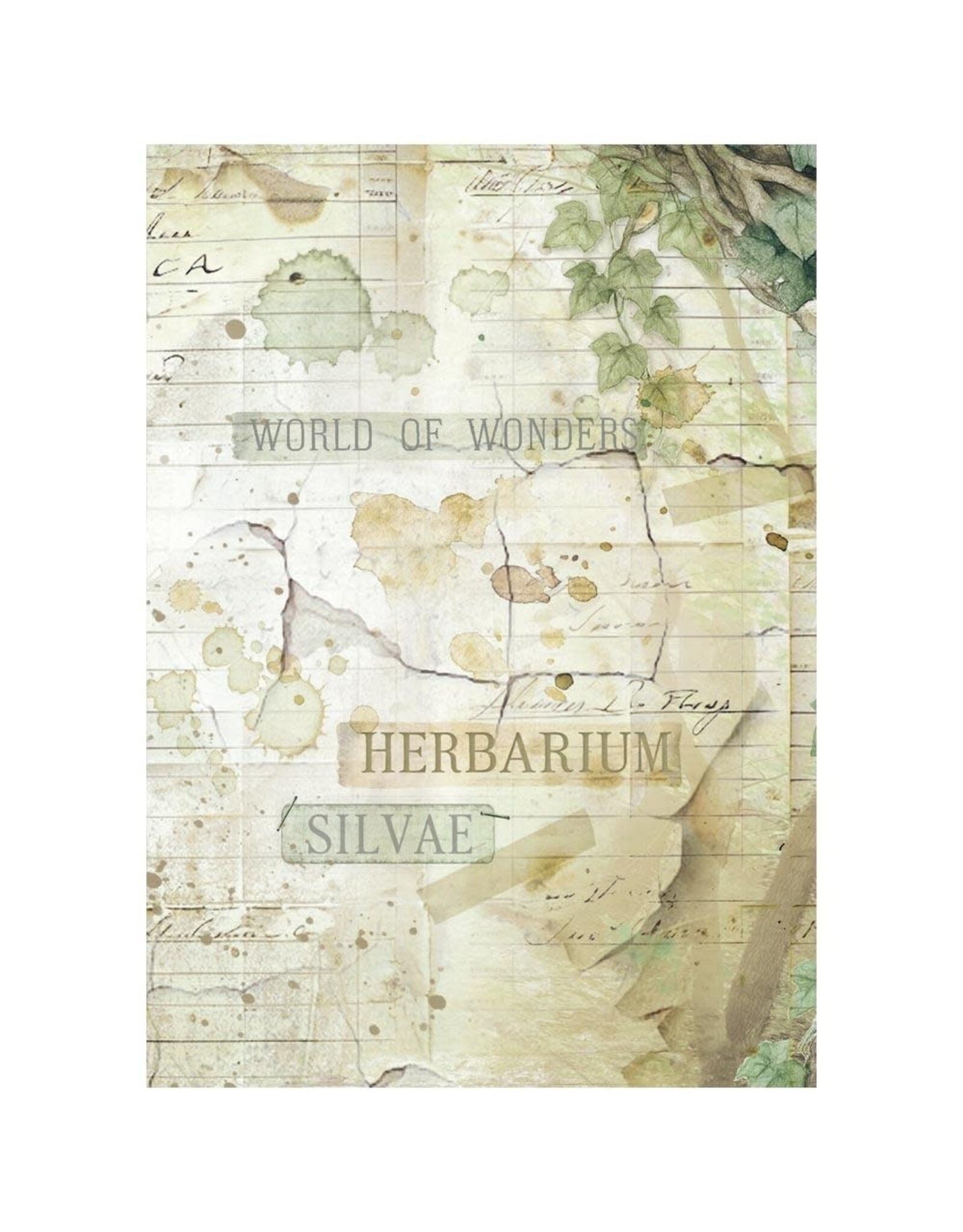 STAMPERIA STAMPERIA HERBARIUM SILVAE ASSORTED A6 RICE PAPER DECOUPAGE BACKGROUNDS 10.5X14.8CM 8/PK