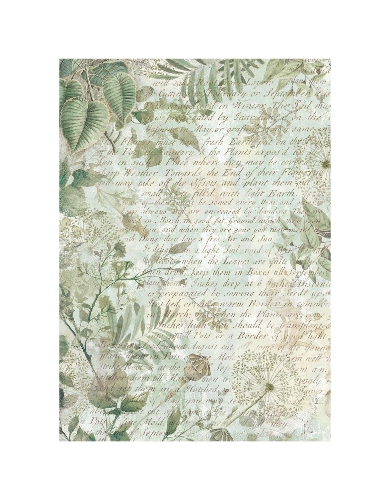 STAMPERIA STAMPERIA HERBARIUM SILVAE ASSORTED A6 RICE PAPER DECOUPAGE BACKGROUNDS 10.5X14.8CM 8/PK