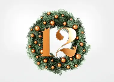 12 Days of Christmas SALE